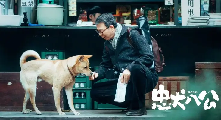 海外电脑怎么看国内视频指南